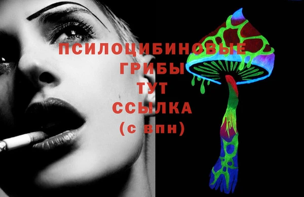 прущий лед Лиски