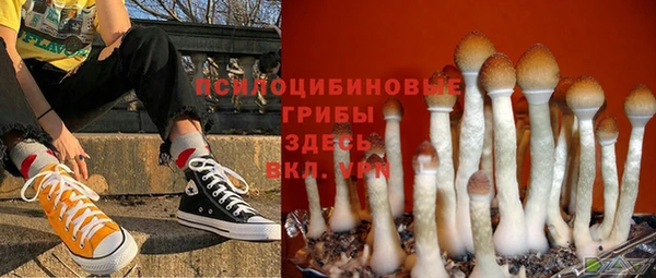 ALPHA PVP Беломорск