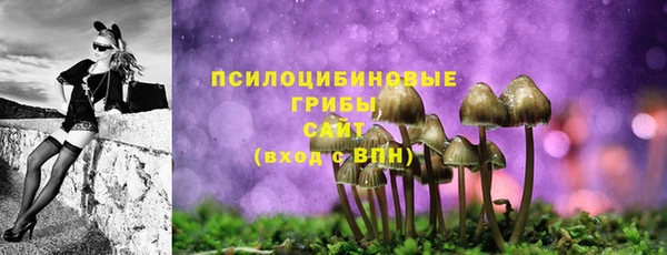 ALPHA PVP Беломорск