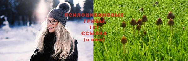 эйфоретик Белоозёрский
