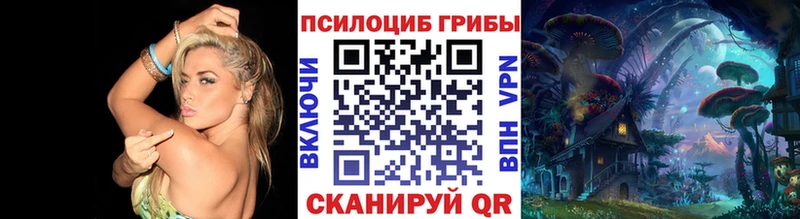 Псилоцибиновые грибы Psilocybine cubensis цены Кузнецк
