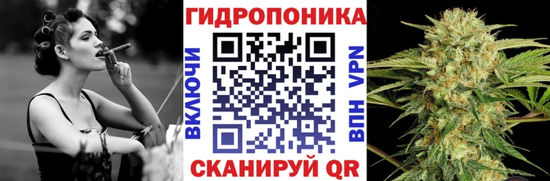 закладки  Кузнецк  Каннабис OG Kush 